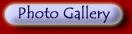 Photo Gallery