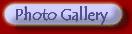 Photo Gallery