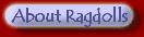 About Ragdolls